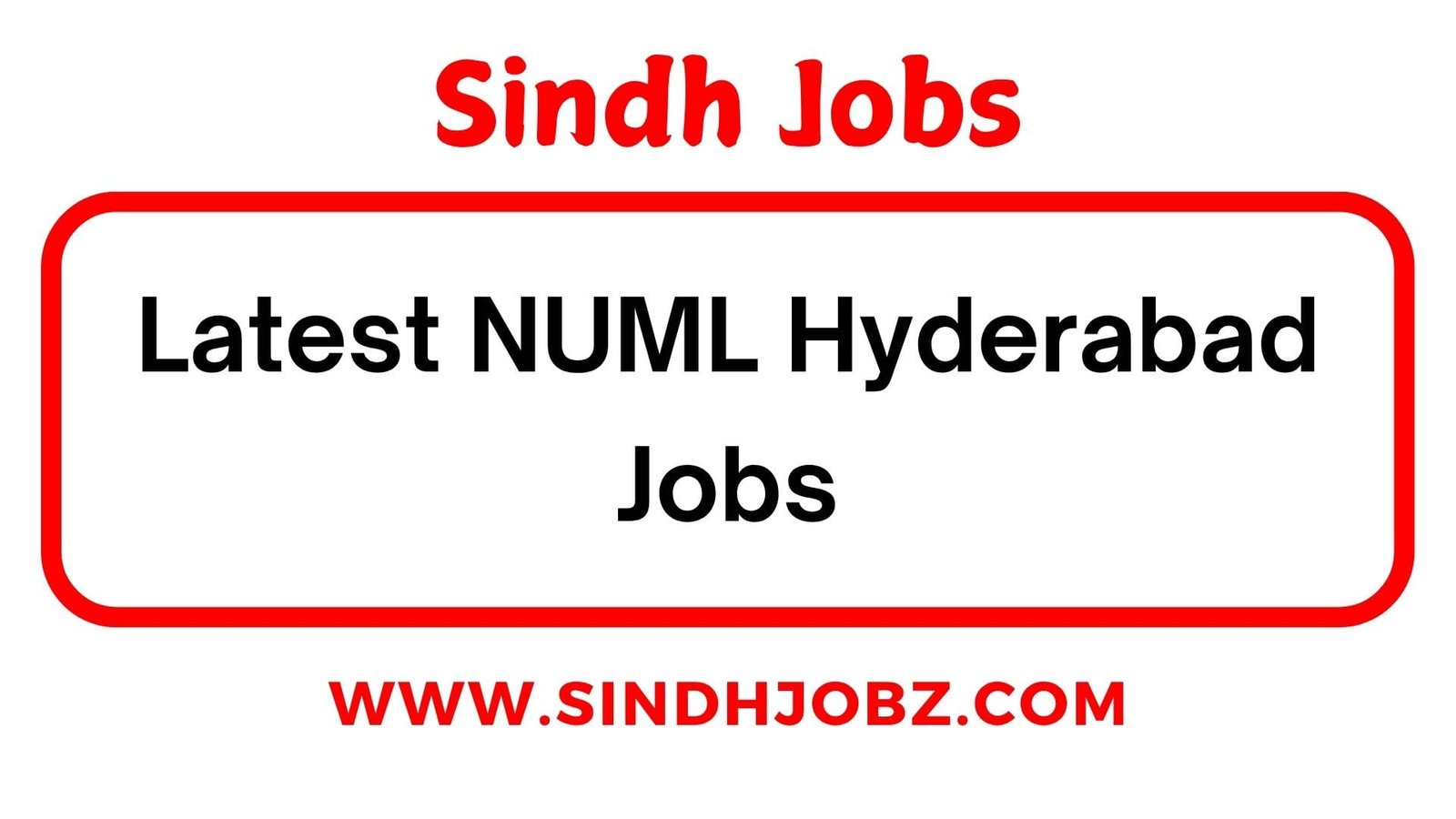 Latest NUML Hyderabad Jobs