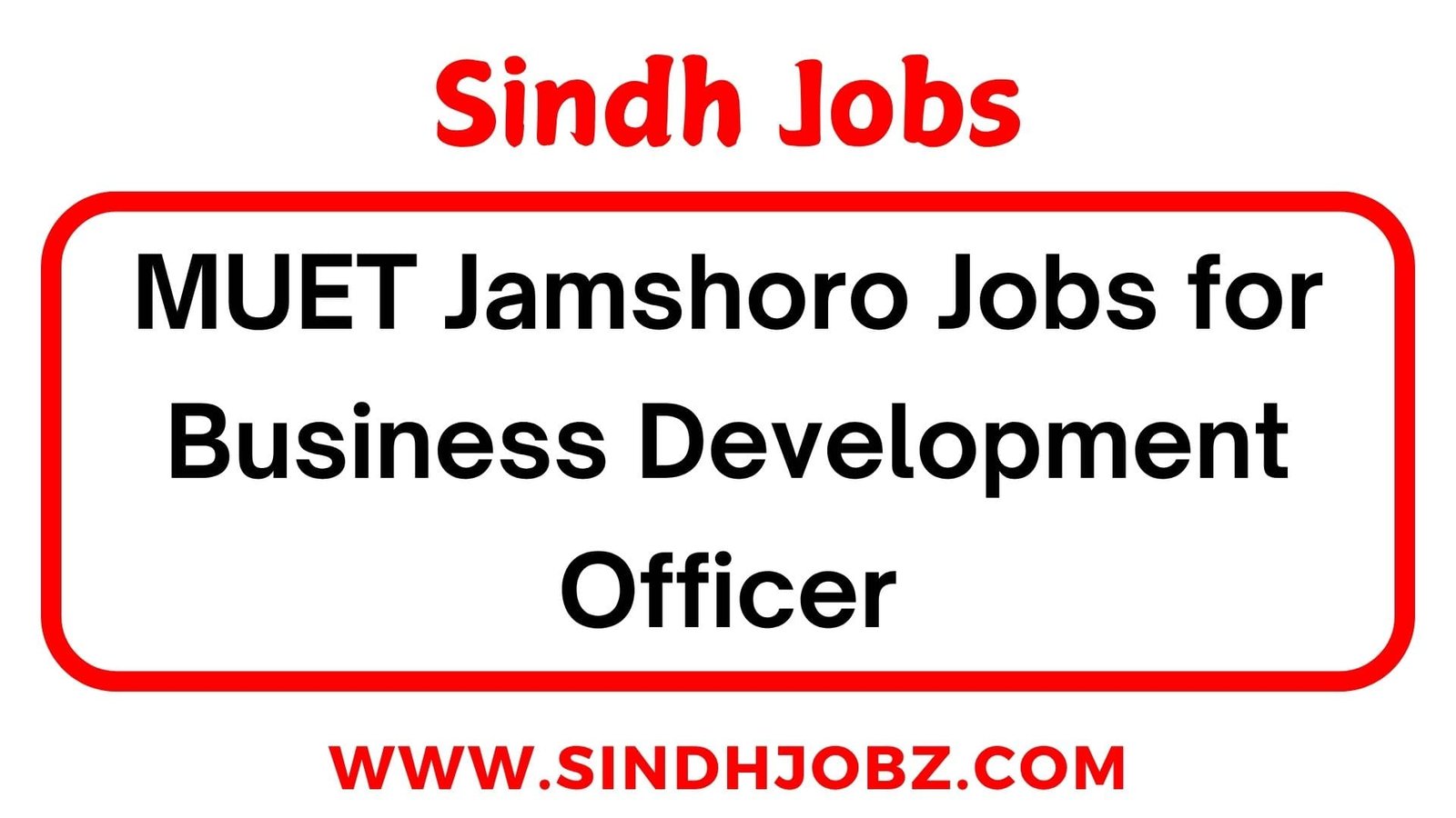 MUET Jamshoro Jobs for Business Development Officer
