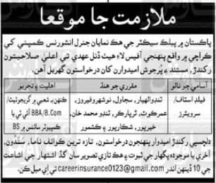 Public Sector Insurance Company Jobs in Karachi