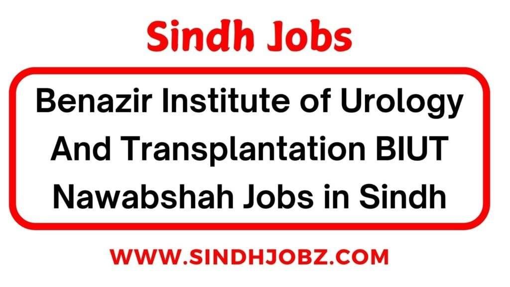 Benazir Institute of Urology And Transplantation BIUT Nawabshah Jobs in Sindh 3 Benazir Institute of Urology And Transplantation BIUT Nawabshah Jobs in Sindh
