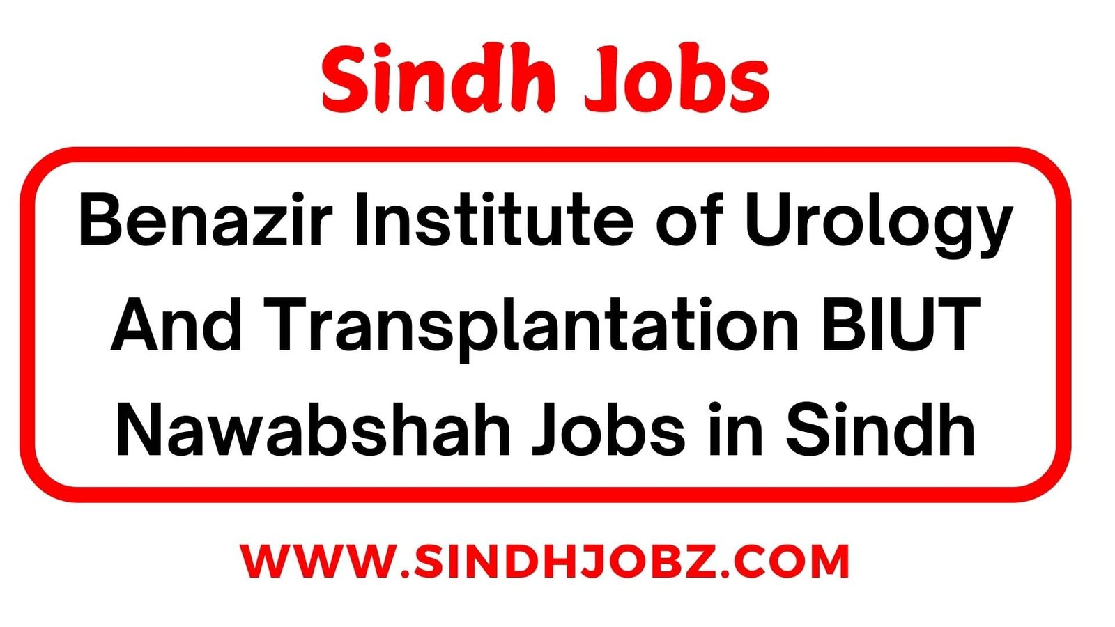 Benazir Institute of Urology And Transplantation BIUT Nawabshah Jobs in Sindh