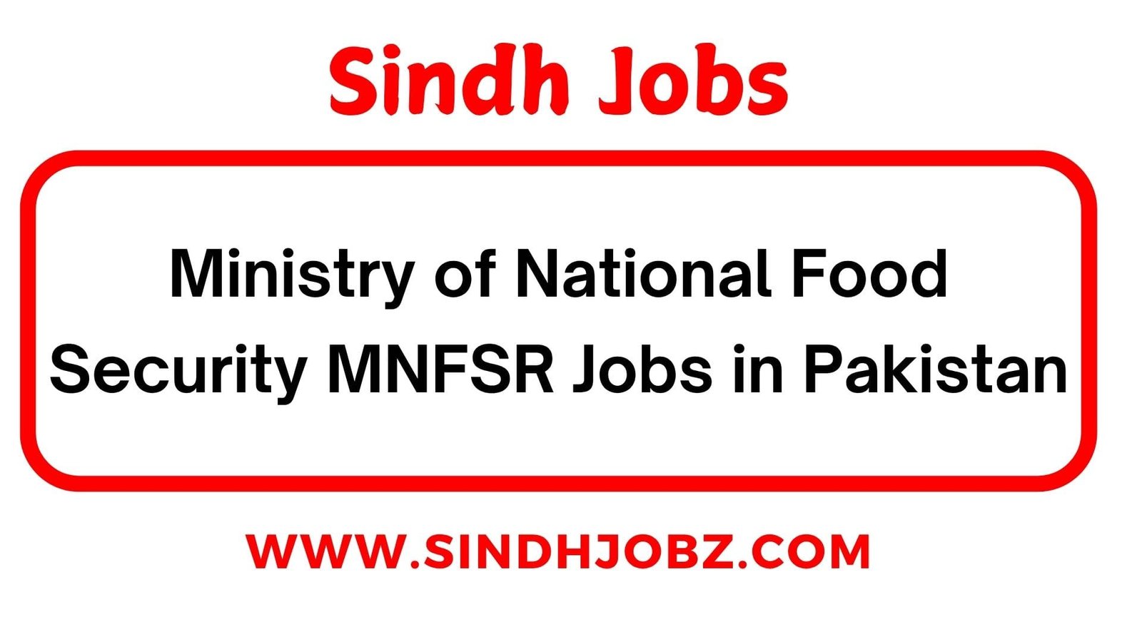 Ministry of National Food Security MNFSR Jobs in Pakistan
