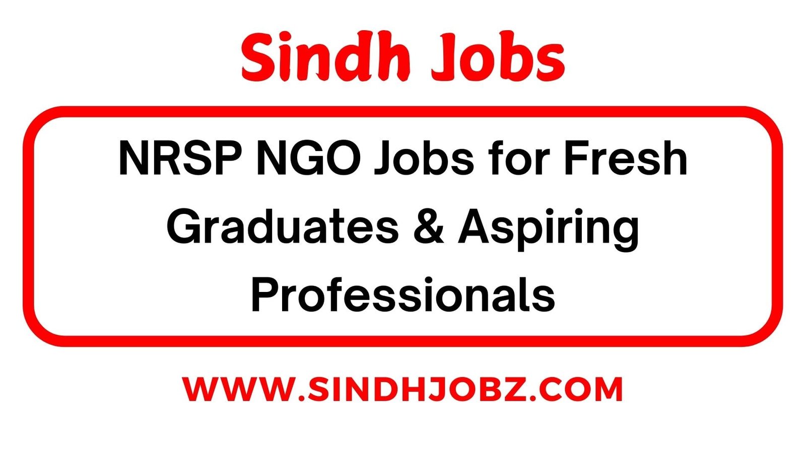 NRSP NGO Jobs for Fresh Graduates & Aspiring Professionals