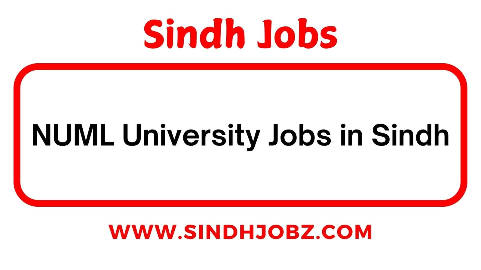 NUML University Jobs in Sindh