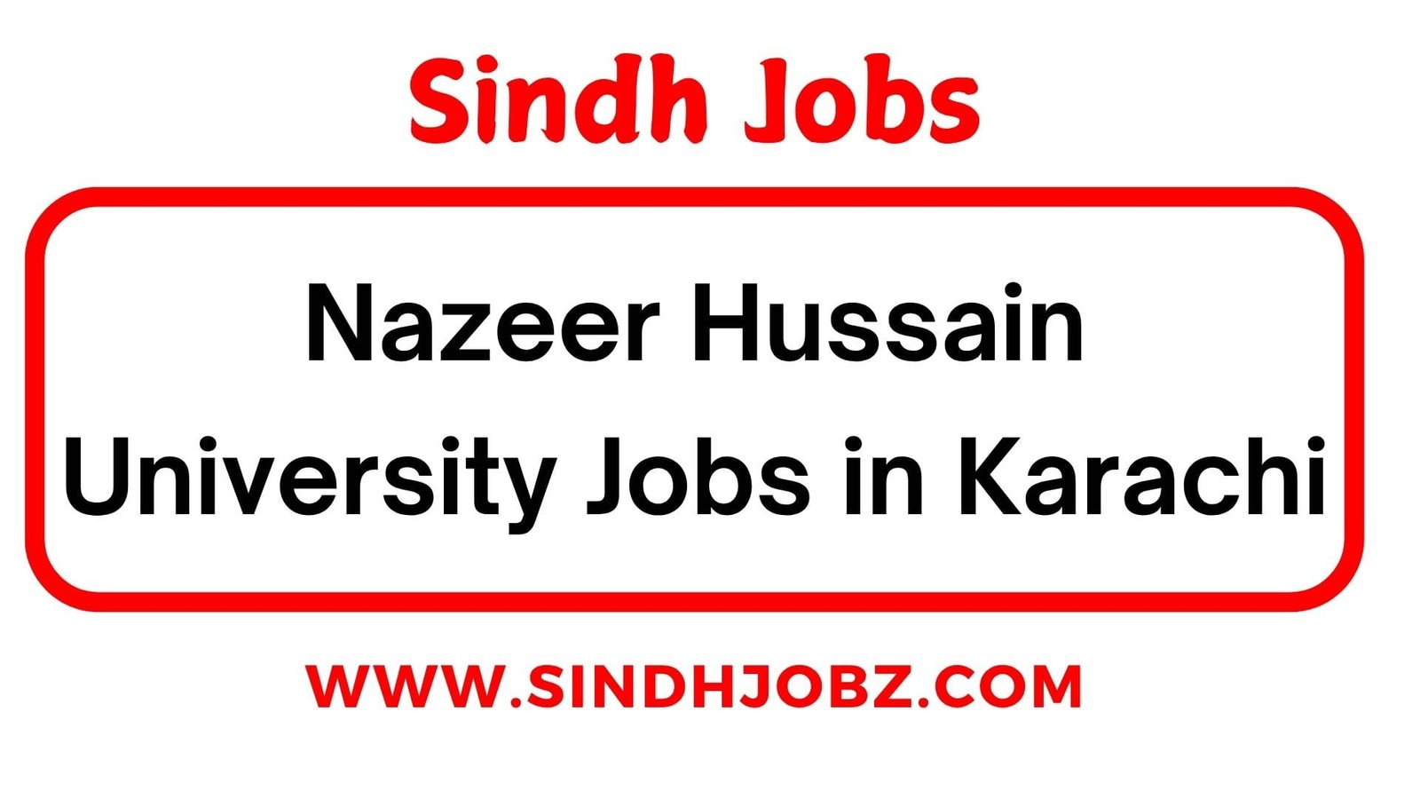 Nazeer Hussain University Jobs in Karachi