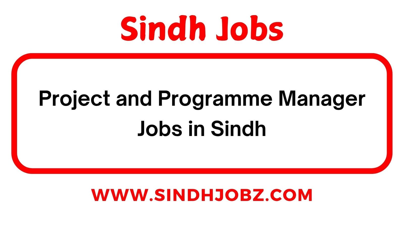 Project and Programme Manager Jobs in Sindh
