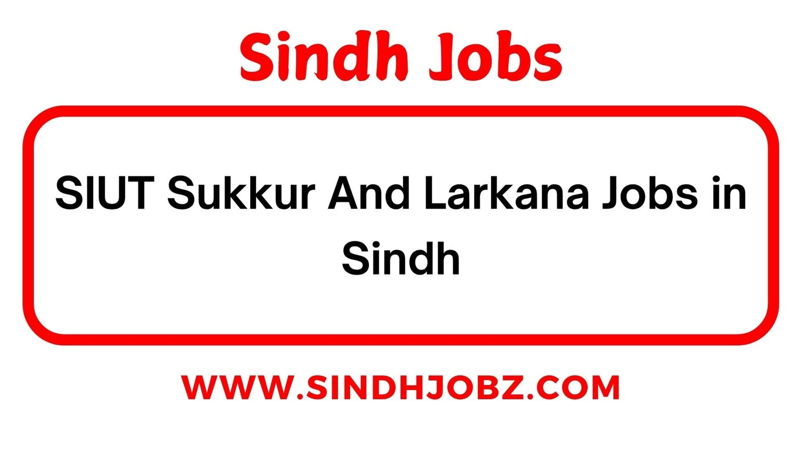 SIUT Sukkur And Larkana Jobs in Sindh