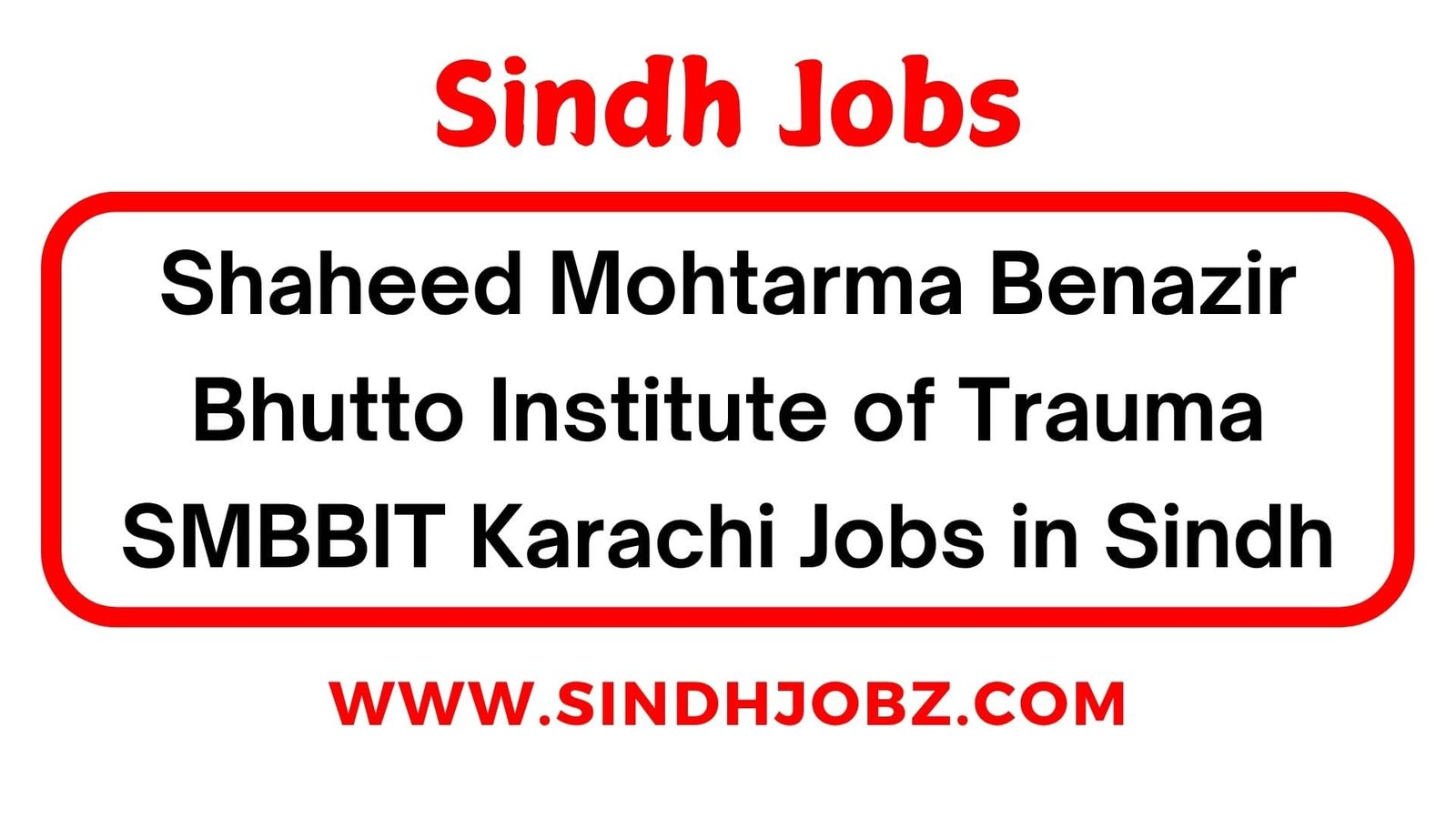 Shaheed Mohtarma Benazir Bhutto Institute of Trauma SMBBIT Karachi Jobs in Sindh