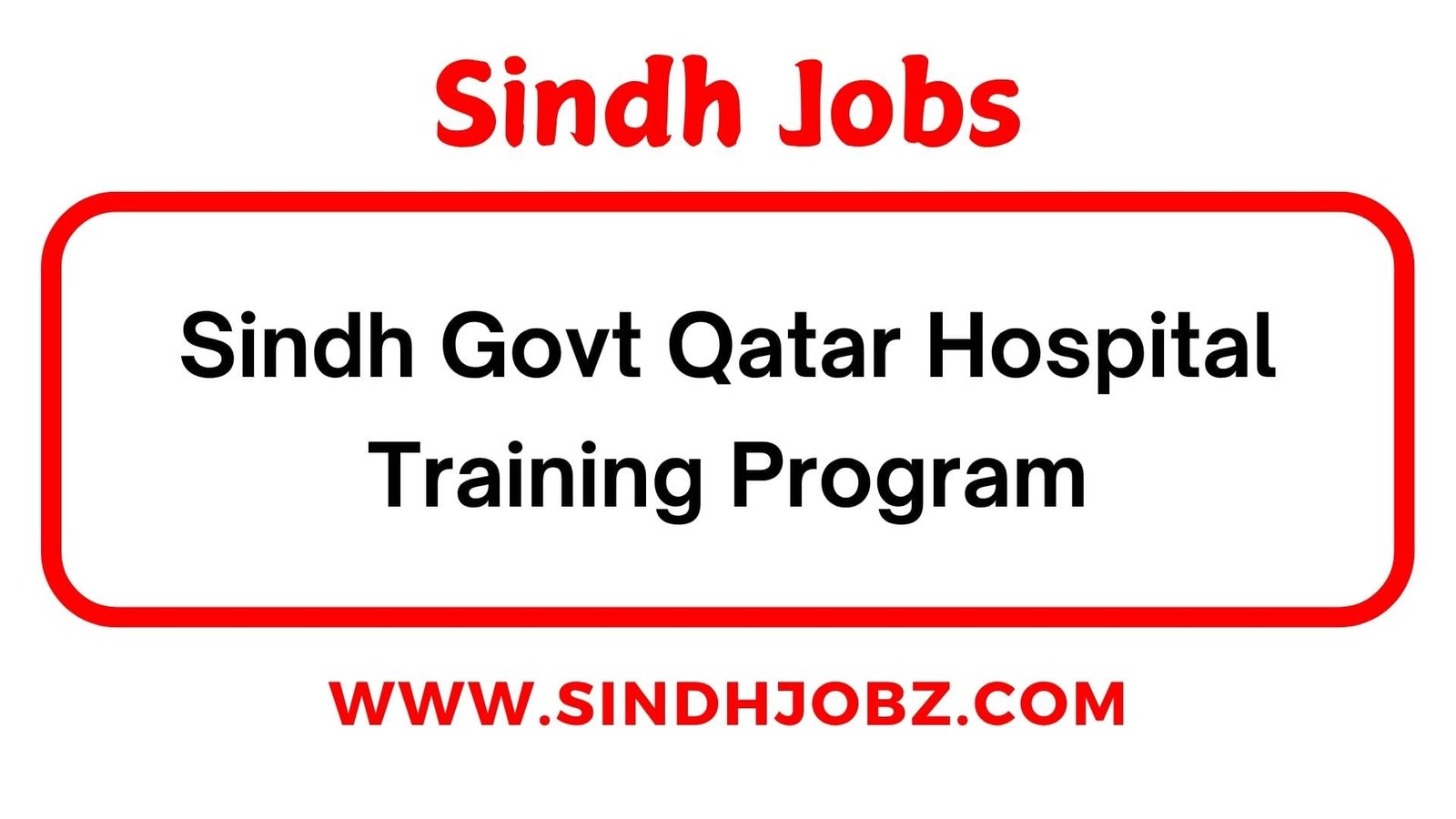 Sindh Govt Qatar Hospital Training Program