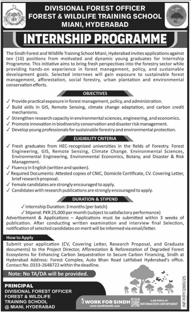 Miani Forest School: Paid Internships for Graduates