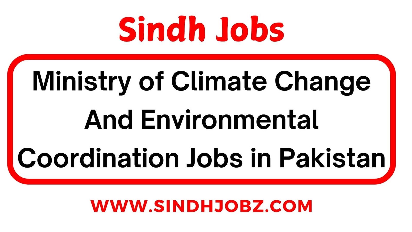 Ministry of Climate Change And Environmental Coordination Jobs in Pakistan