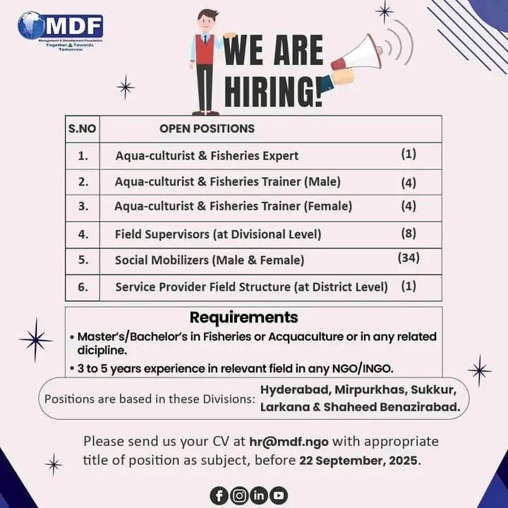 MDF Management and Development Foundation NGO Jobs