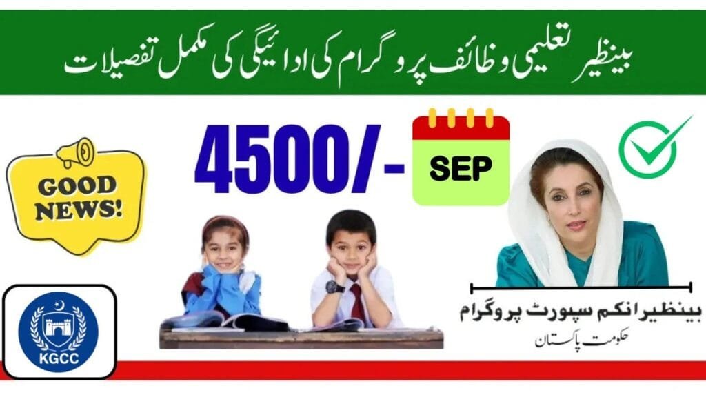 Benazir Taleemi Wazaif District Wise Payments Complete Guide