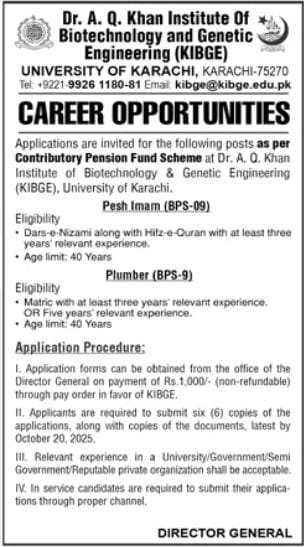 The University Of Karachi UoK Jobs 2025