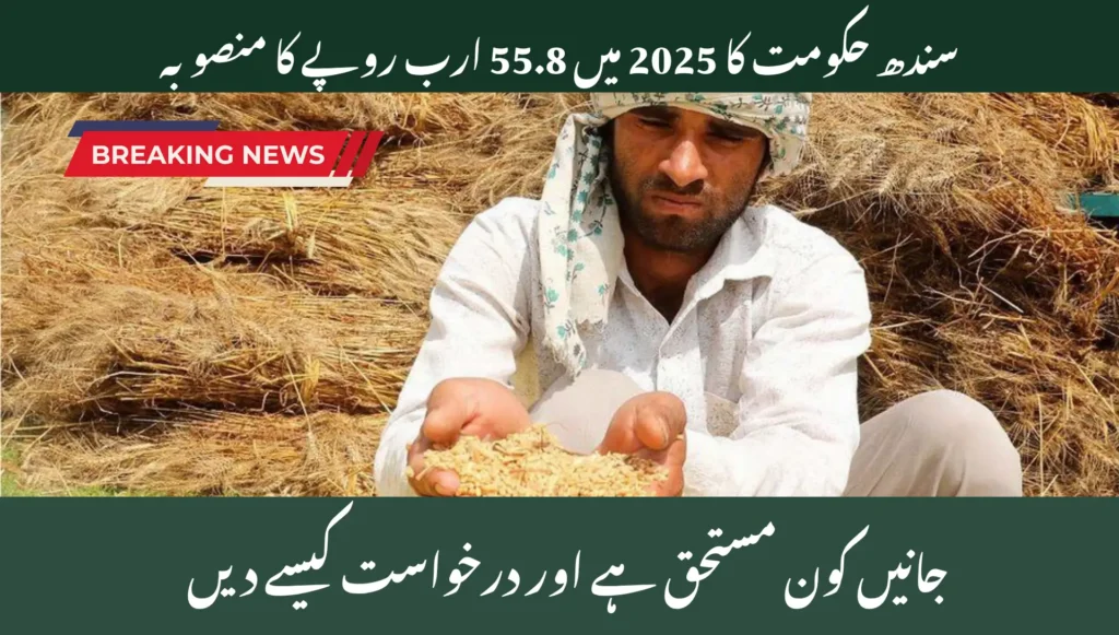 Sindh Unveils Rs55.8 Billion Assistance Plan for Small-Scale Wheat Cultivators in October 2025